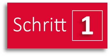 Lizenzierung-mit-TEAM-Schritt-1