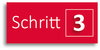 Lizenzierung-mit-TEAM-Schritt-3
